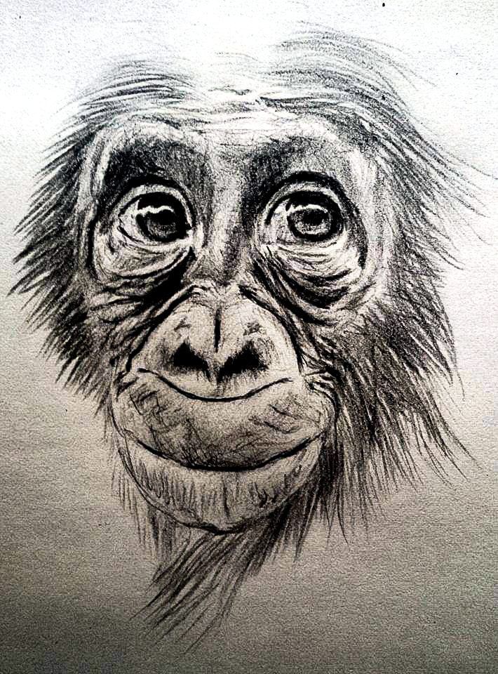 monkey